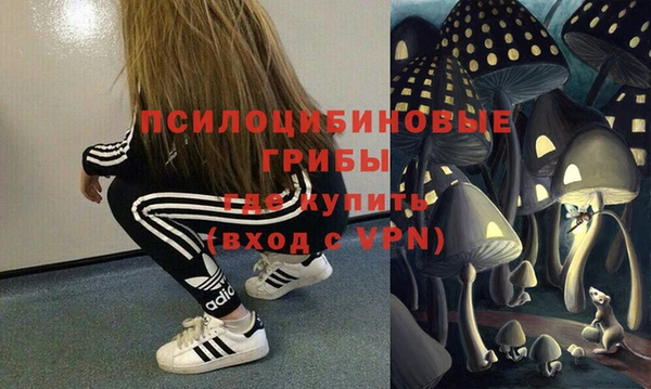 молекула духа Алзамай