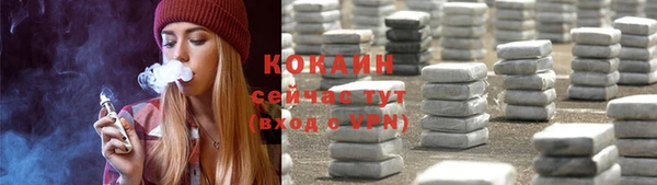 хмурый Алексин