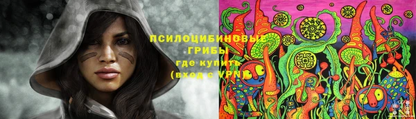 сатива Абдулино