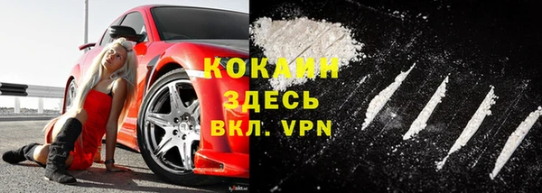 молекула духа Алзамай