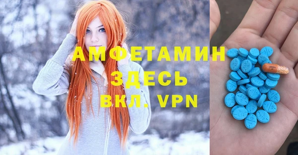 хмурый Алексин