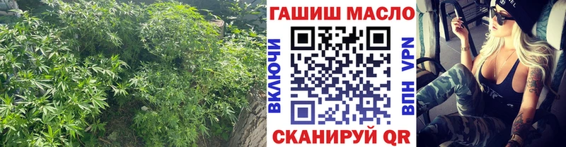ТГК гашишное масло  где купить   Кочубеевское 