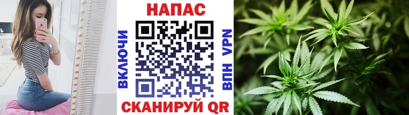 где можно купить наркотик  Кочубеевское  Шишки марихуана Ganja 